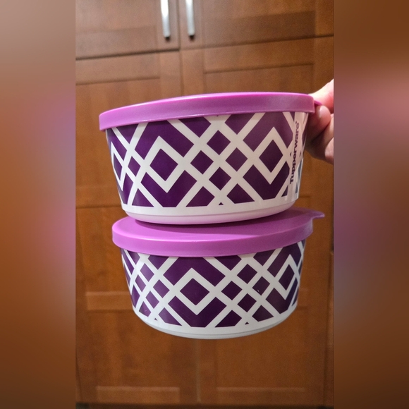 EXCLUSIVE Print- 2pc Locking Lid Canister Set - Picture 2 of 5